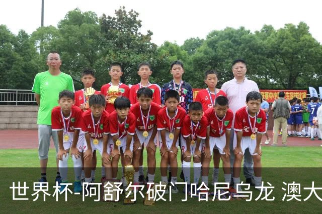 世界杯-阿舒尔破门哈尼乌龙 澳大利亚1-1埃及进点球